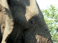 pict0595.jpg