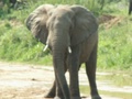 pict0602.jpg