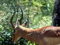 pict0610.jpg