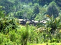 pict0615.jpg