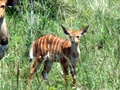 pict0618.jpg
