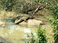 pict0624.jpg