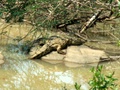 pict0625.jpg