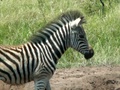 pict0628.jpg