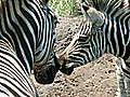 pict0629.jpg