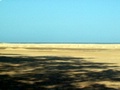 pict0648.jpg
