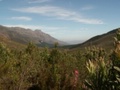 pict0663.jpg