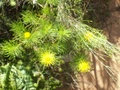 pict0666.jpg