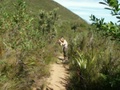 pict0668.jpg