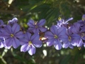 pict0673.jpg