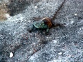 pict0685.jpg