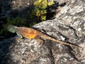 pict0687.jpg