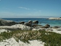 pict0750.jpg