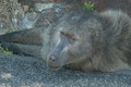 pict0762.jpg