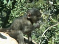 pict0764.jpg