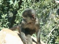 pict0765.jpg