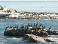 pict0772.jpg