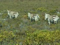 pict0787.jpg