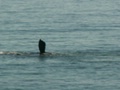 pict0801.jpg