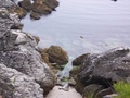 100_0516.jpg
