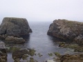100_0517.jpg