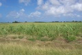 100_5535.jpg