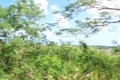 100_5537.jpg