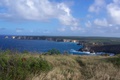 100_5539.jpg