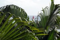 dscn1668.jpg
