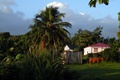 dscn1703.jpg