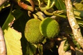 dscn1704.jpg