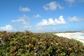 dscn1722.jpg