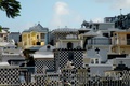 dscn1775.jpg