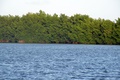 dscn1791.jpg