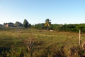 dscn1794.jpg
