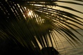 dscn1804.jpg