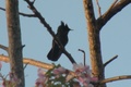 dscn1813.jpg