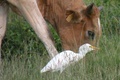 dscn1823.jpg
