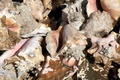 dscn1836.jpg