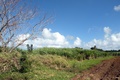 dscn1839.jpg