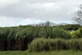 dscn1842.jpg