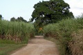 dscn1844.jpg