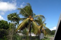 dscn1846.jpg