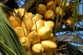 dscn1848.jpg
