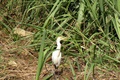 dscn1849.jpg
