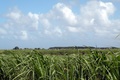 dscn1850.jpg