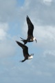 dscn1868.jpg
