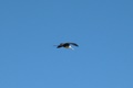 dscn1869.jpg