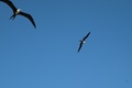 dscn1870.jpg