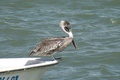 dscn1876.jpg